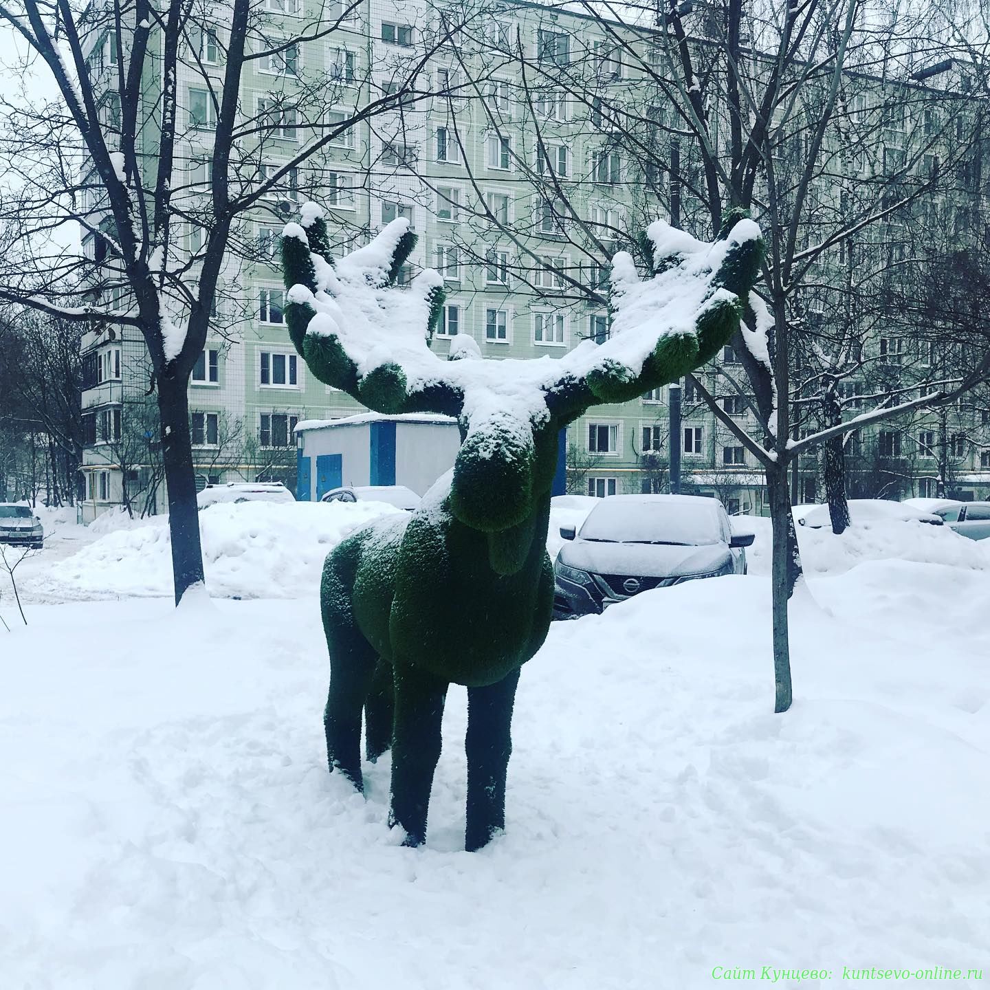 Лось анатолий